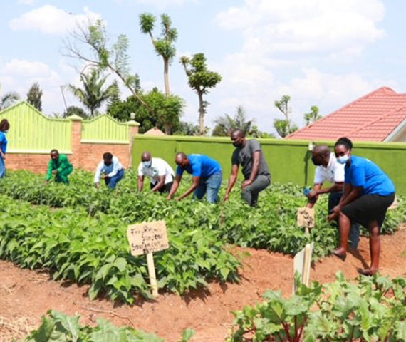 Academy trainees in the demonstration plots