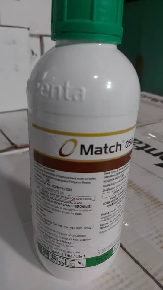 Match insecticide