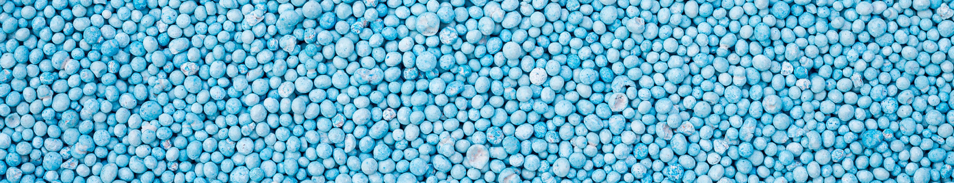 Blue coated seeds