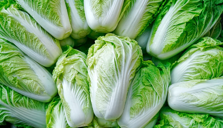Michihili Chinese cabbage