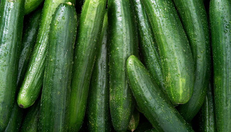 Ashley cucumber