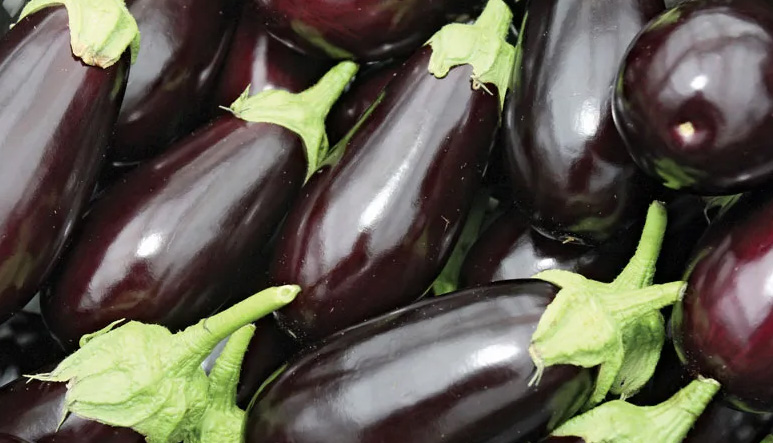 Eggplant