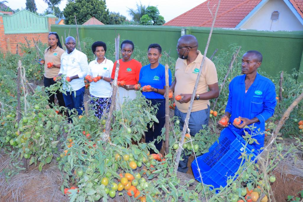 Agriseeds team in the field