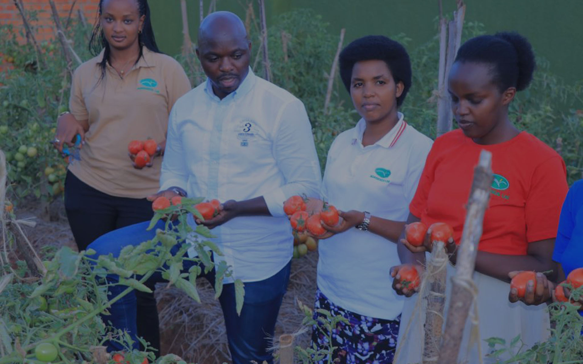 Agriseeds team in the demo garden